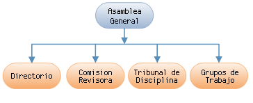 Organigrama ASSAL